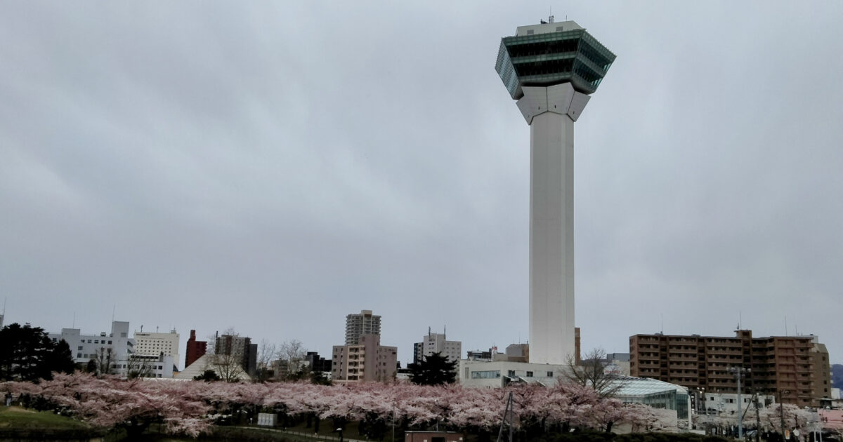 曇り空と桜が咲く五稜郭タワーの風景