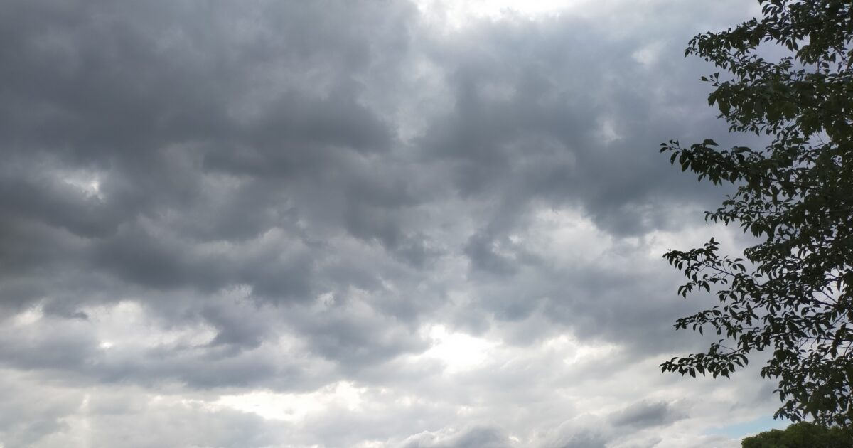 木々と灰色の雲が広がる空