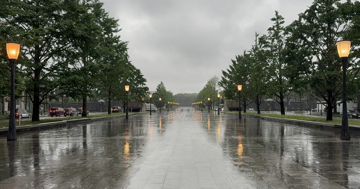 雨で濡れた石畳の並木道と街灯の反射