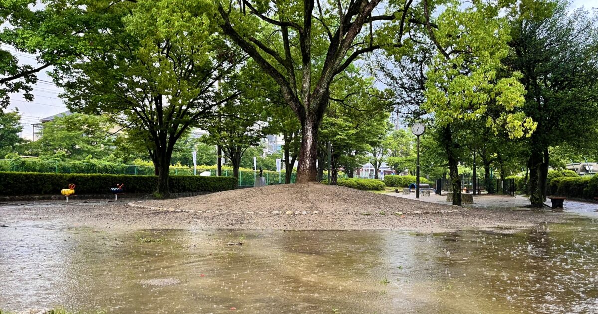 雨でぬかるんだ公園と大きな木の風景