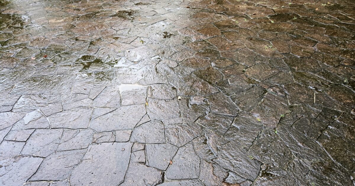 雨で濡れた石畳の舗装道路のクローズアップ