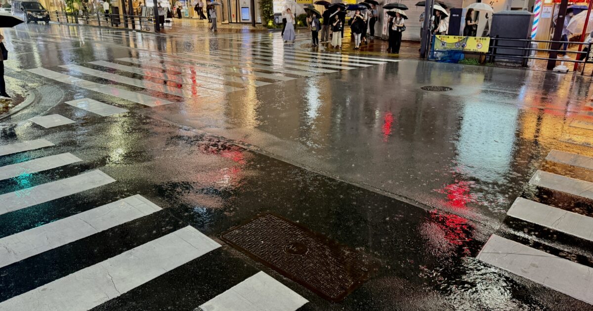 雨で濡れた横断歩道と反射する街の灯り