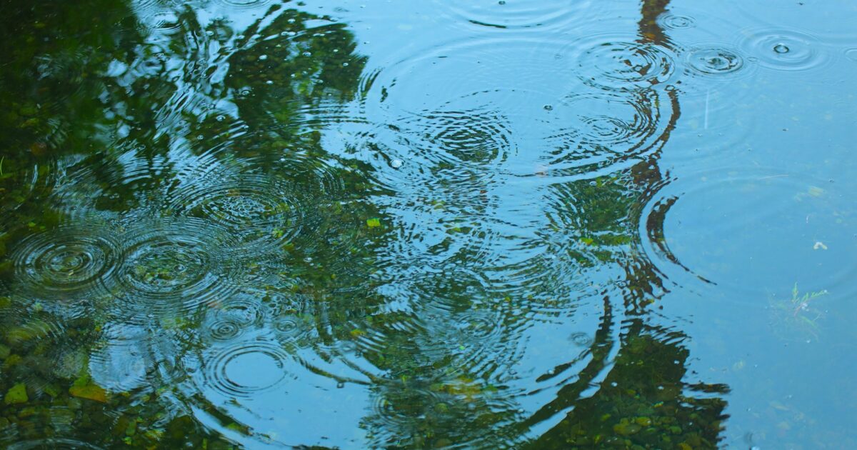 雨粒が落ちる水面と波紋の広がり