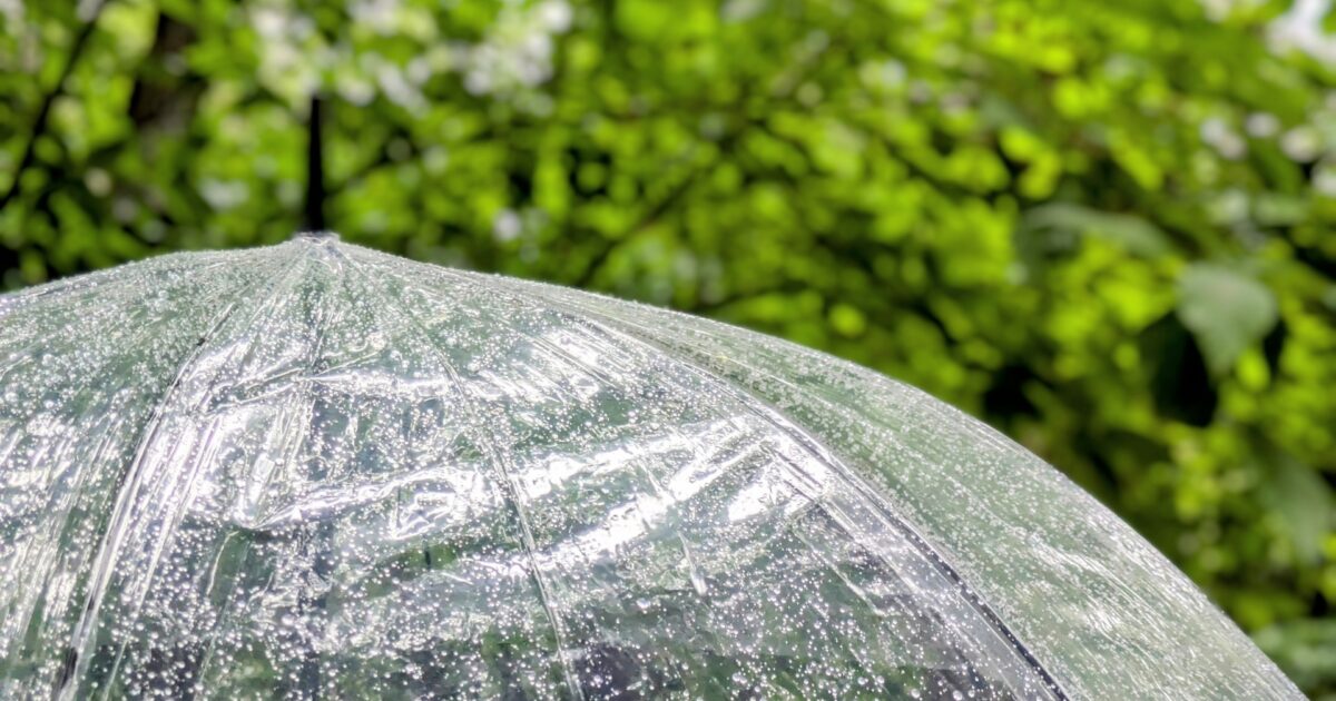 雨粒が付いた透明なビニール傘のクローズアップ