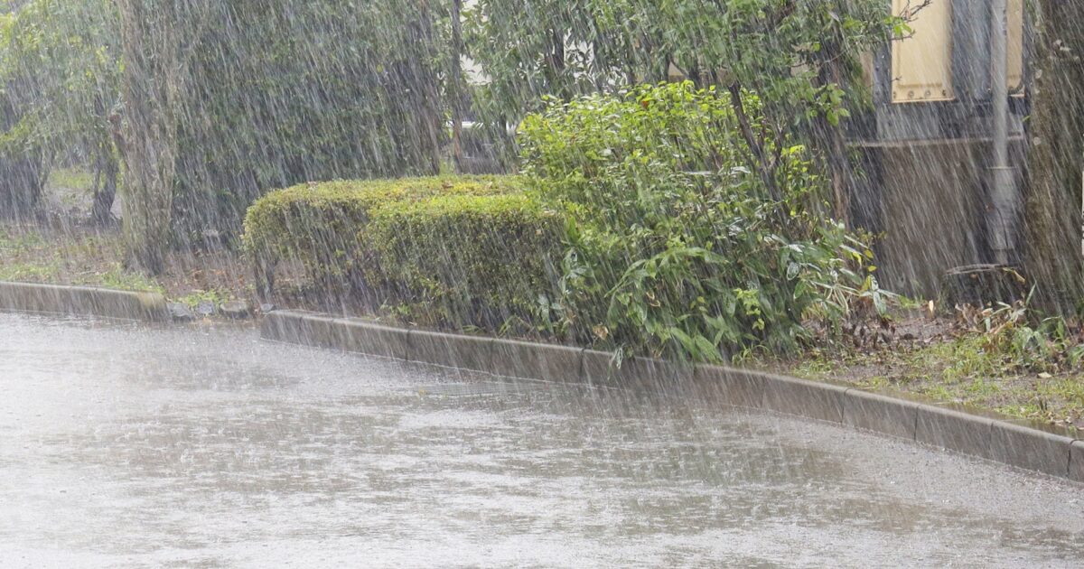 激しい雨が降る公園の緑と濡れた舗装道路