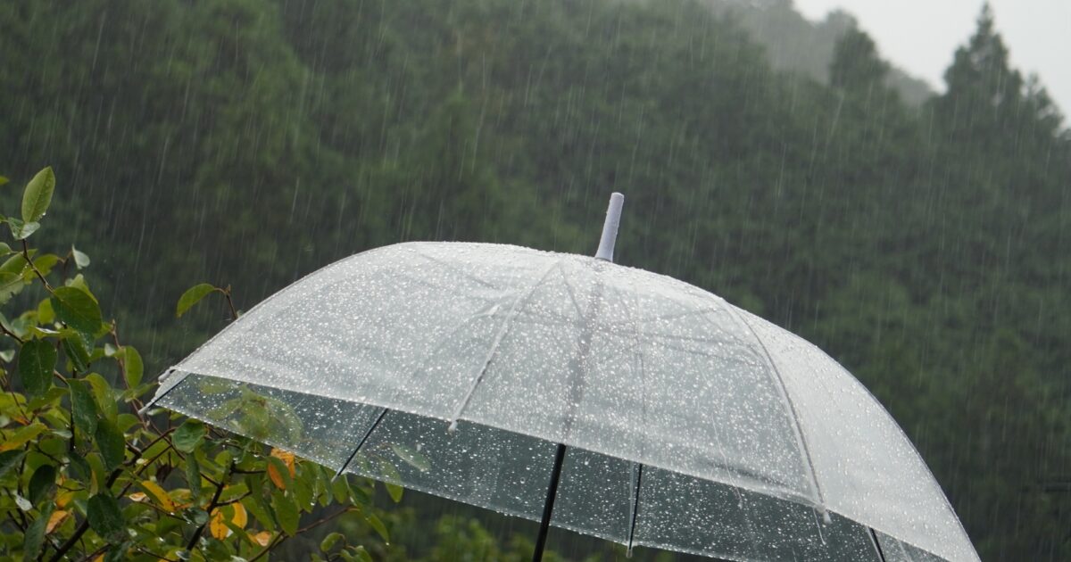 雨の中で透明なビニール傘を差す人と森の背景