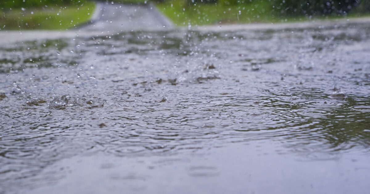 強い雨で水たまりができた舗装道路の様子