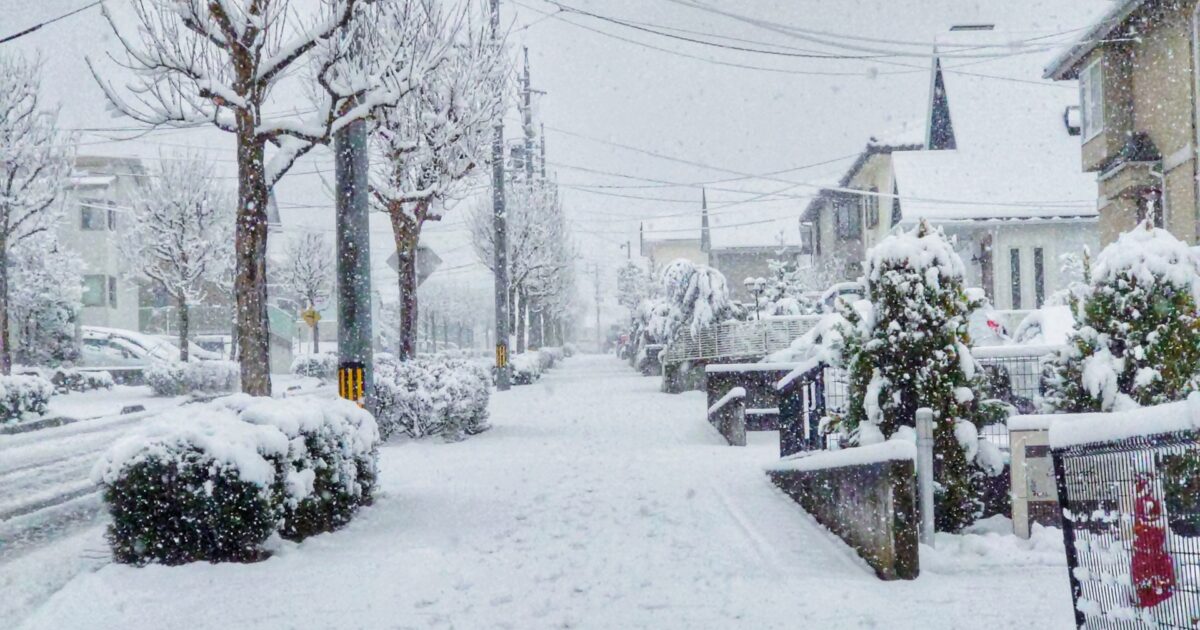 大雪に包まれた住宅街と雪景色の並木道