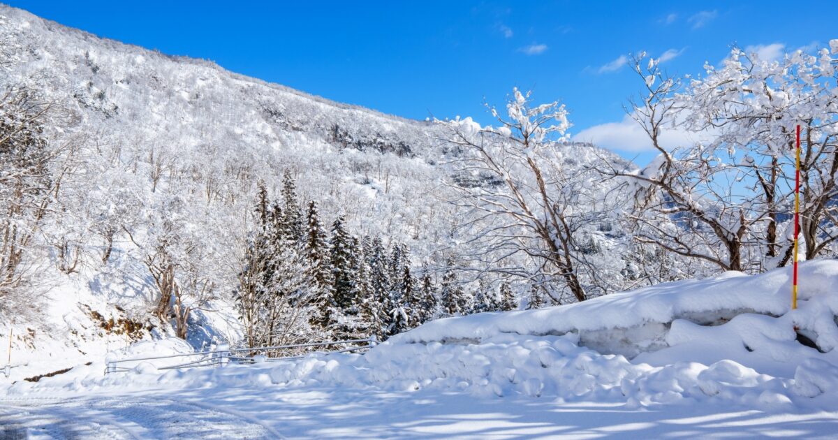 雪景色の山道と白銀の森林風景