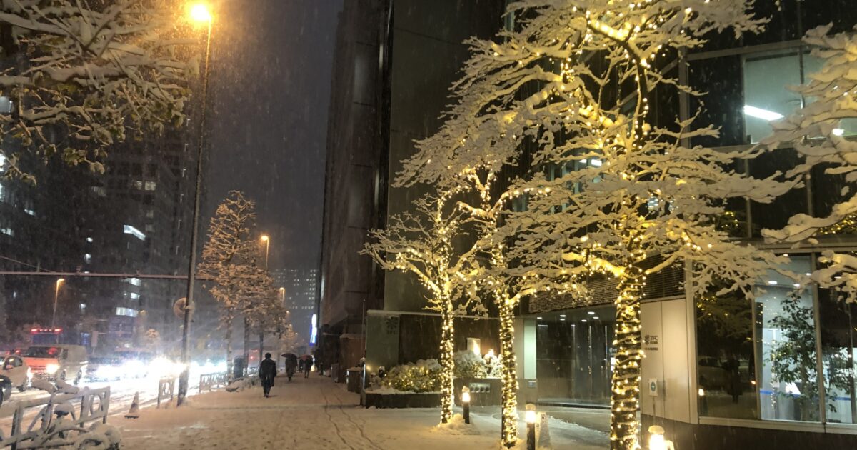 雪が降る夜の街路樹とイルミネーション