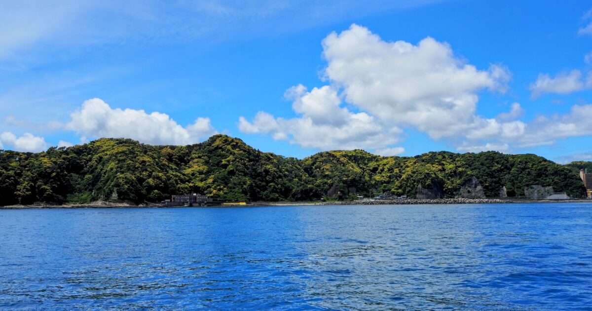 青い海と緑の山々が広がる風景