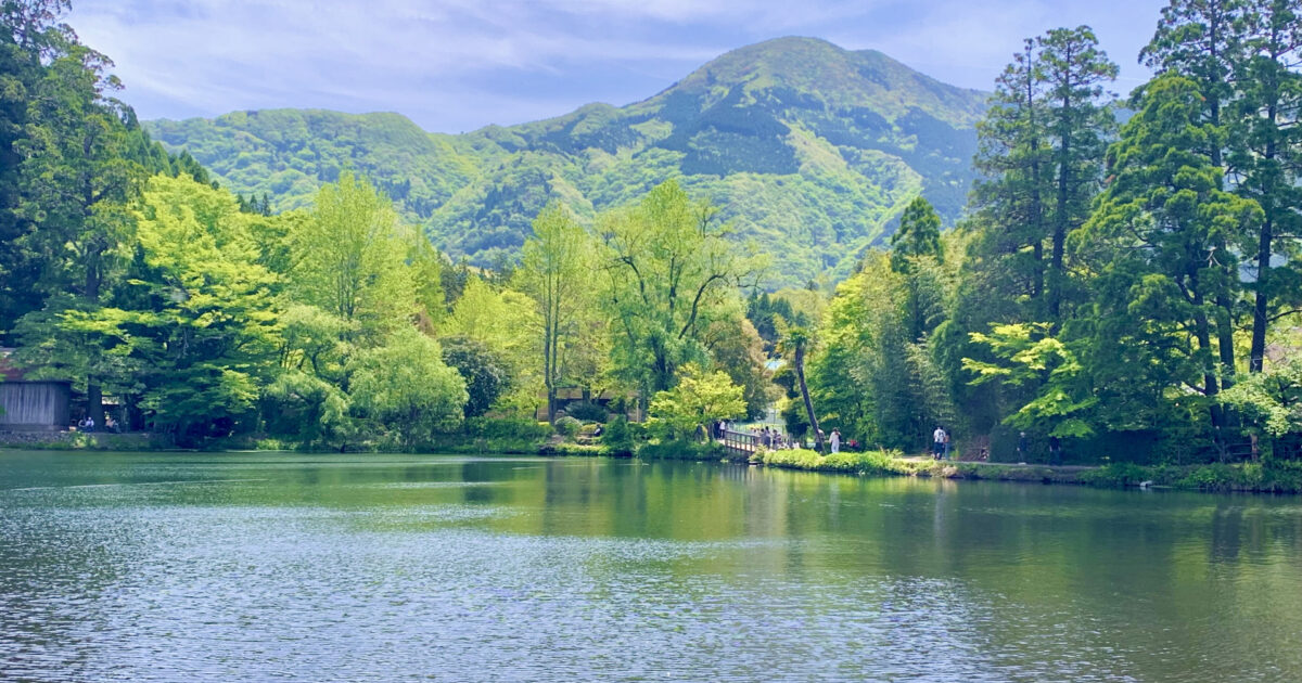新緑に囲まれた湖と山の風景