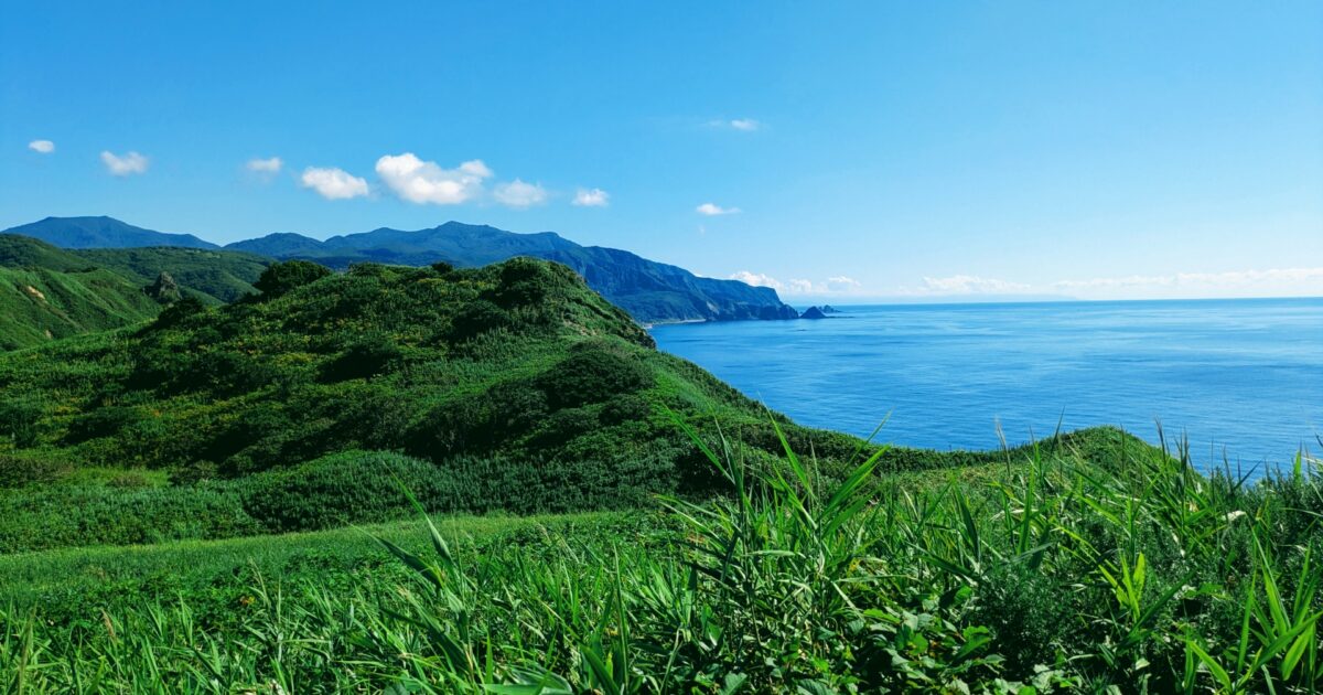 青い海と緑の岬が広がる風景