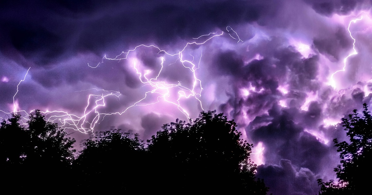 木々の上空で広がる紫色の雷と厚い雲