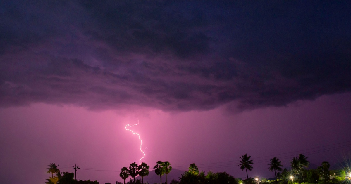 紫色の雷雲と椰子の木越しに落ちる稲妻