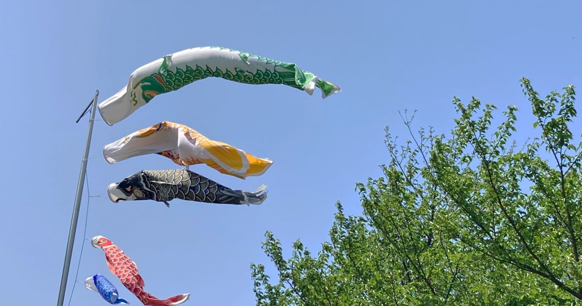 青空に泳ぐ色とりどりのこいのぼり